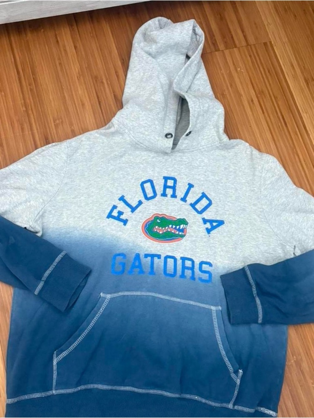 Florida Gators Ombre Hoodie with Gator Logo